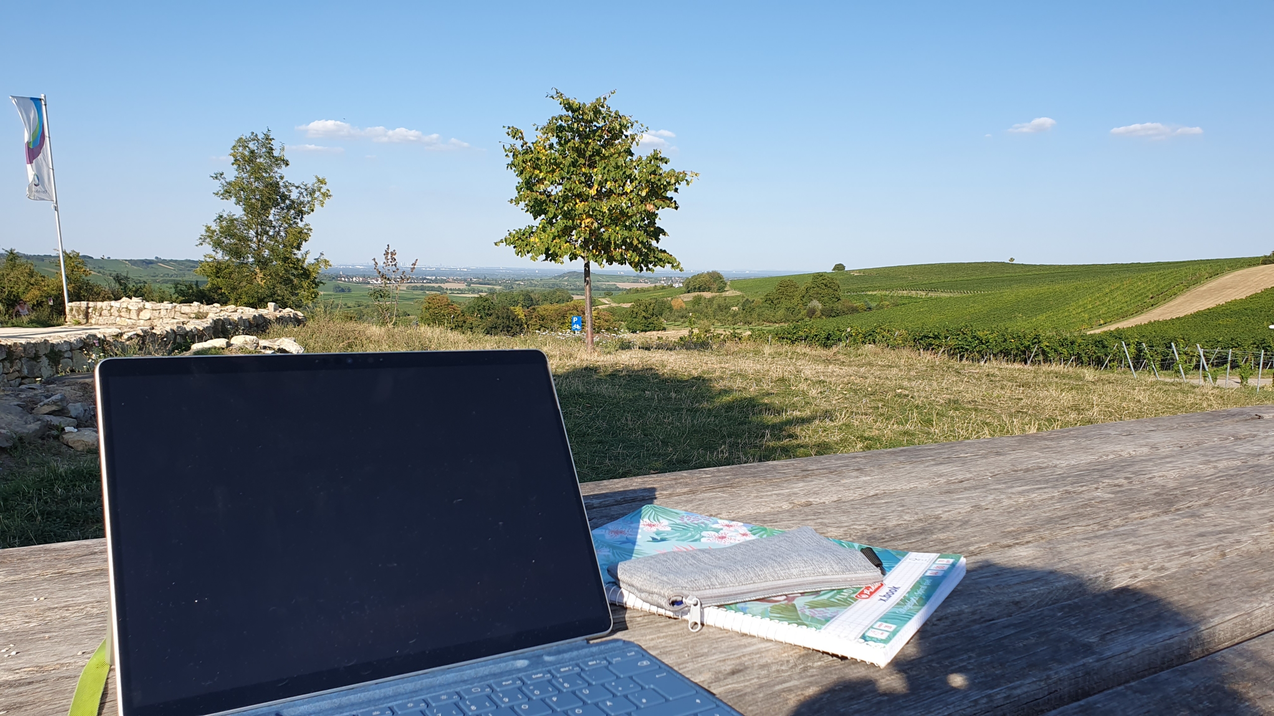 Leistungen Regionalentwicklung Sandra Lange - Weinberge und Laptop